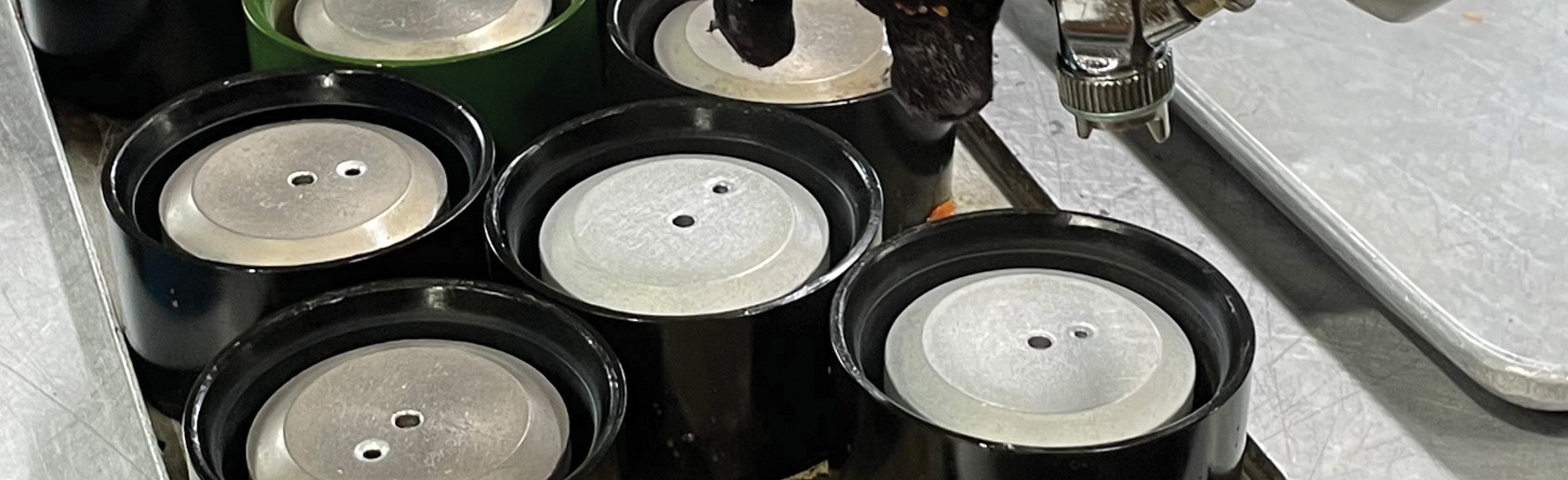 Cast Molding Capabilities
